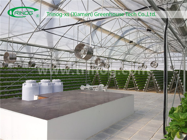 Advanced Hydroponics Grow System (NFT)