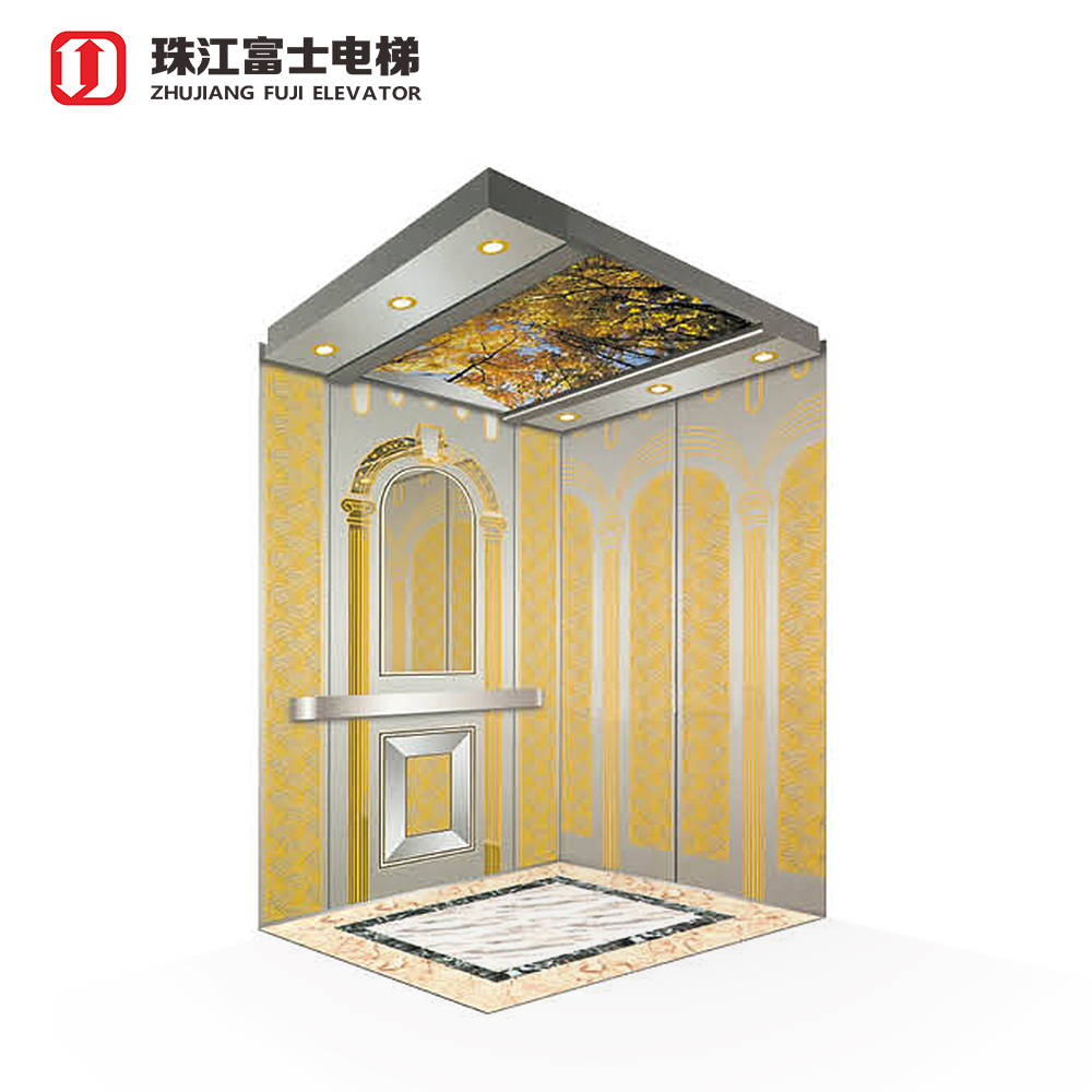 ZhuJiangFuJi Commercial Passenger Lifts Auto Door Passenger Elevator With Ce Certificate