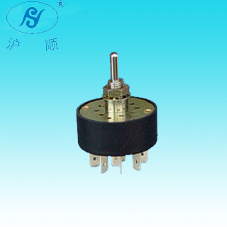 Rotary switch