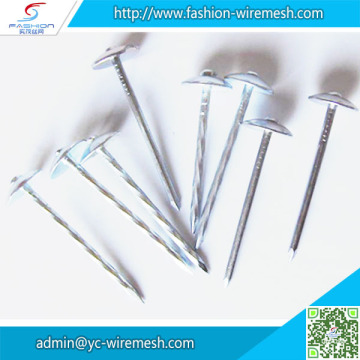 Low carbon steel round head shoe nail