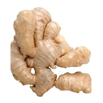 Selected Fresh Air Dry Ginger