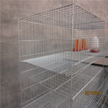 Hot Sale 3/4/5 Tiers chicken cage layer chicken cage/layer chicken cage for chicken farm for sri lanka