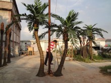 Large factory outdoor trees artificial coconut trees