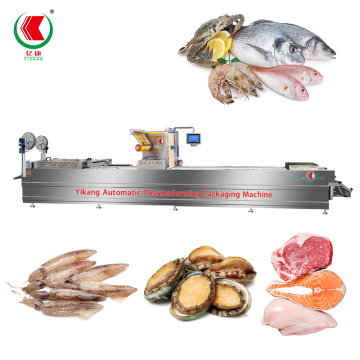 Thermoforming Packaging Machine for Fish Seafood