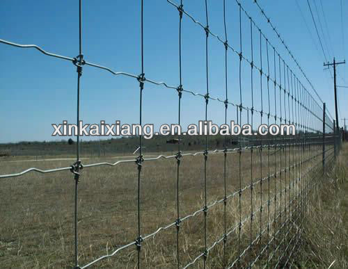 Farm fence designs(factory)