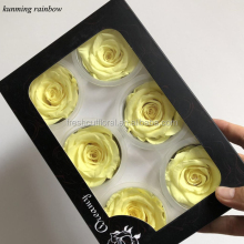 Top Quality Preserved Rose Flowers From Kunming Rainbow