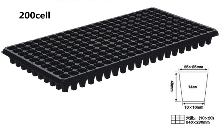 Plastic Rice Seed Growing Tray 200cell