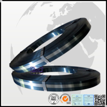 Roller Shutter Door Spring Stel Strip