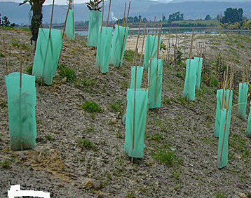 pp hollow fluted tree protector