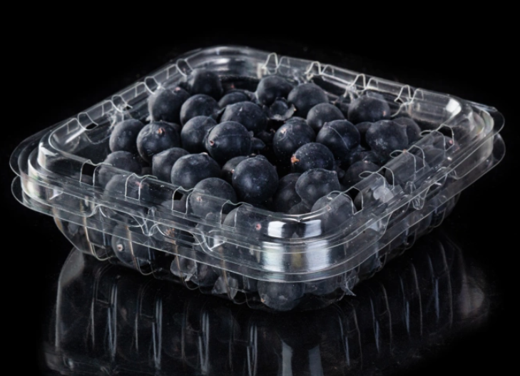 Disposable plastic container for blueberries