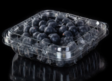PET Plastic Fruit Clamshell/Punnet for Blueberries