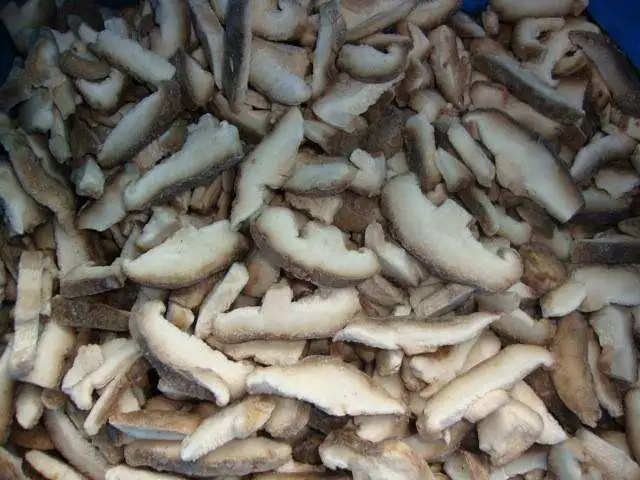 IQF Frozen Pleurotus Ostreatus Chinese Oyster Mushroom