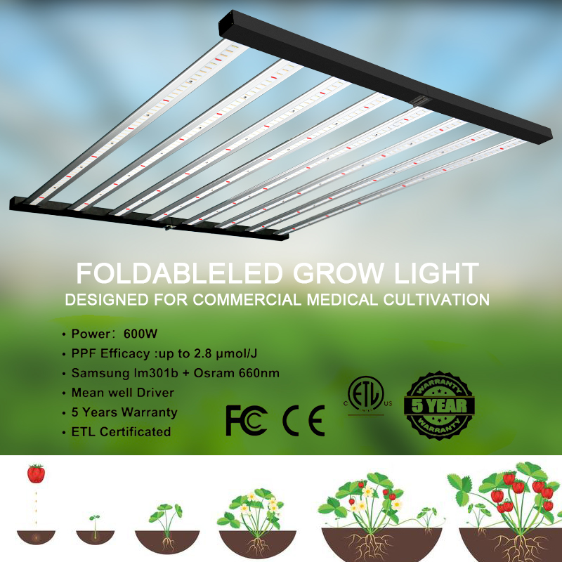 أعلى LED تنمو ضوء 480W