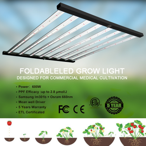 Top LED Grow Light 480W