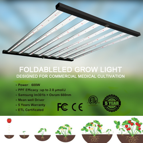 480W 6 strisce Spider Grow Light