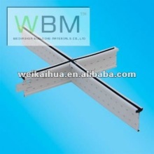 exposed ceiling t-bar system with black line