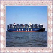 Professional Shipping Agent /Export Agent /Freight Forwarder Agent