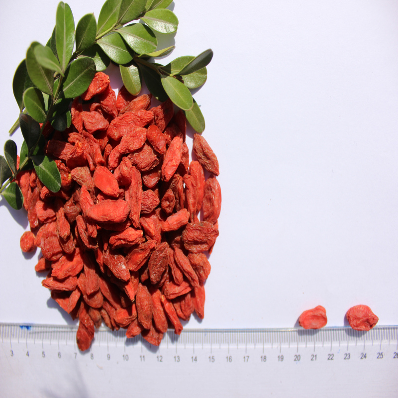 Nutrien yang tinggi yang Diperakui Sehat Berry Goji Berry