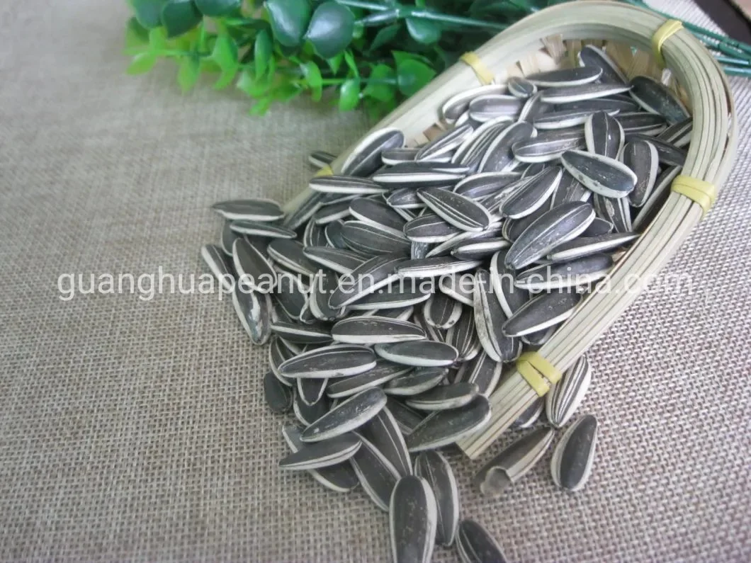 New Crop Sunflower Seeds From Shandong Guanghua Agricultural