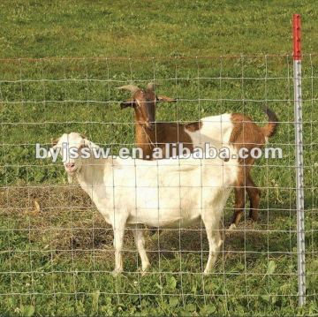 Cattle Fence/ Cow Fence/ Horse Fence/ Sheep Fence/ Goat Fence/ Deer Fence