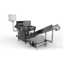 Automated Packaging Solution Systems