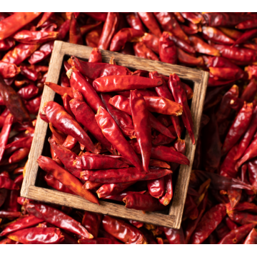 Dried Sanying Dry Chili whole