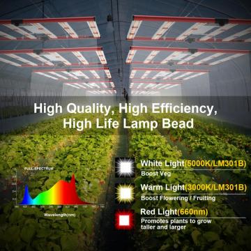 650W 800W 1000W LM301B 301H AGLEX High PPF 650W LED LED toàn bộ thanh phát sáng cho các nhà máy thương mại thẳng đứng trong nhà