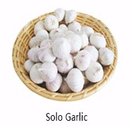 2021 New Crop Jining Fresh new crop red garlic