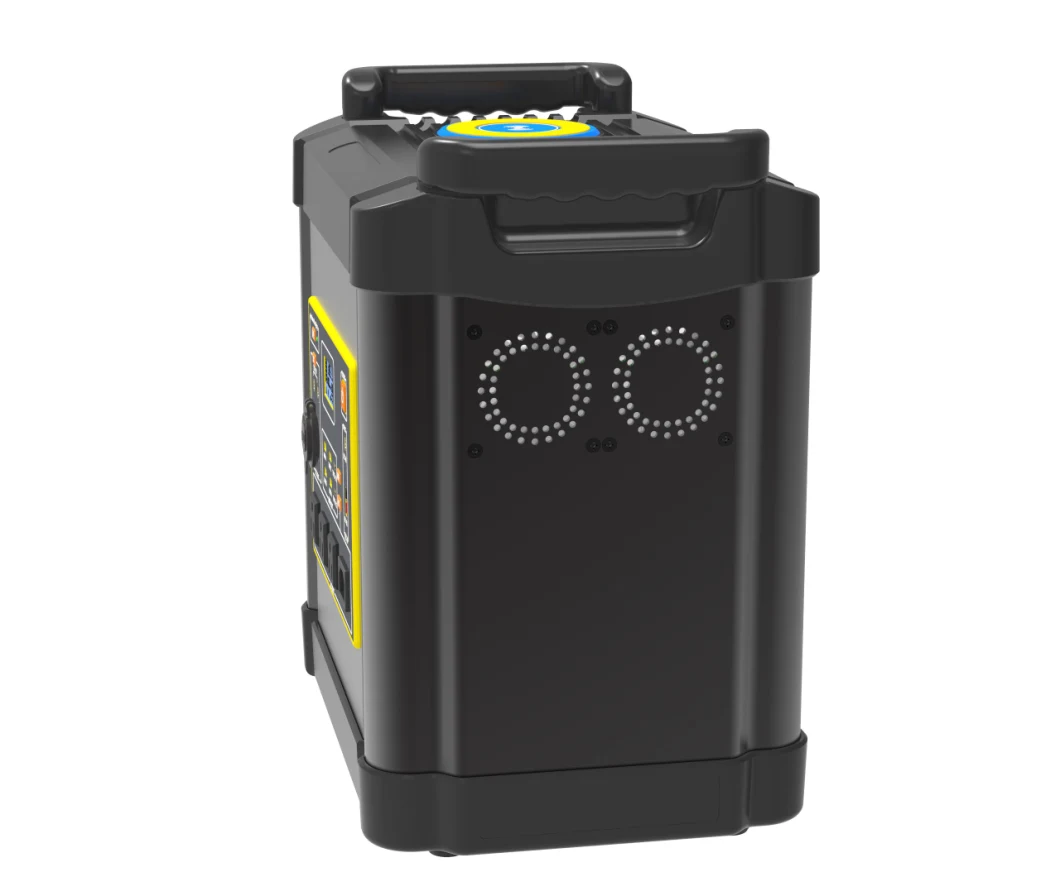 Customized LFP Lithium Battery