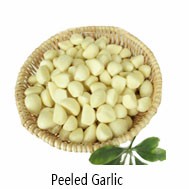 China fresh seeds of garlic