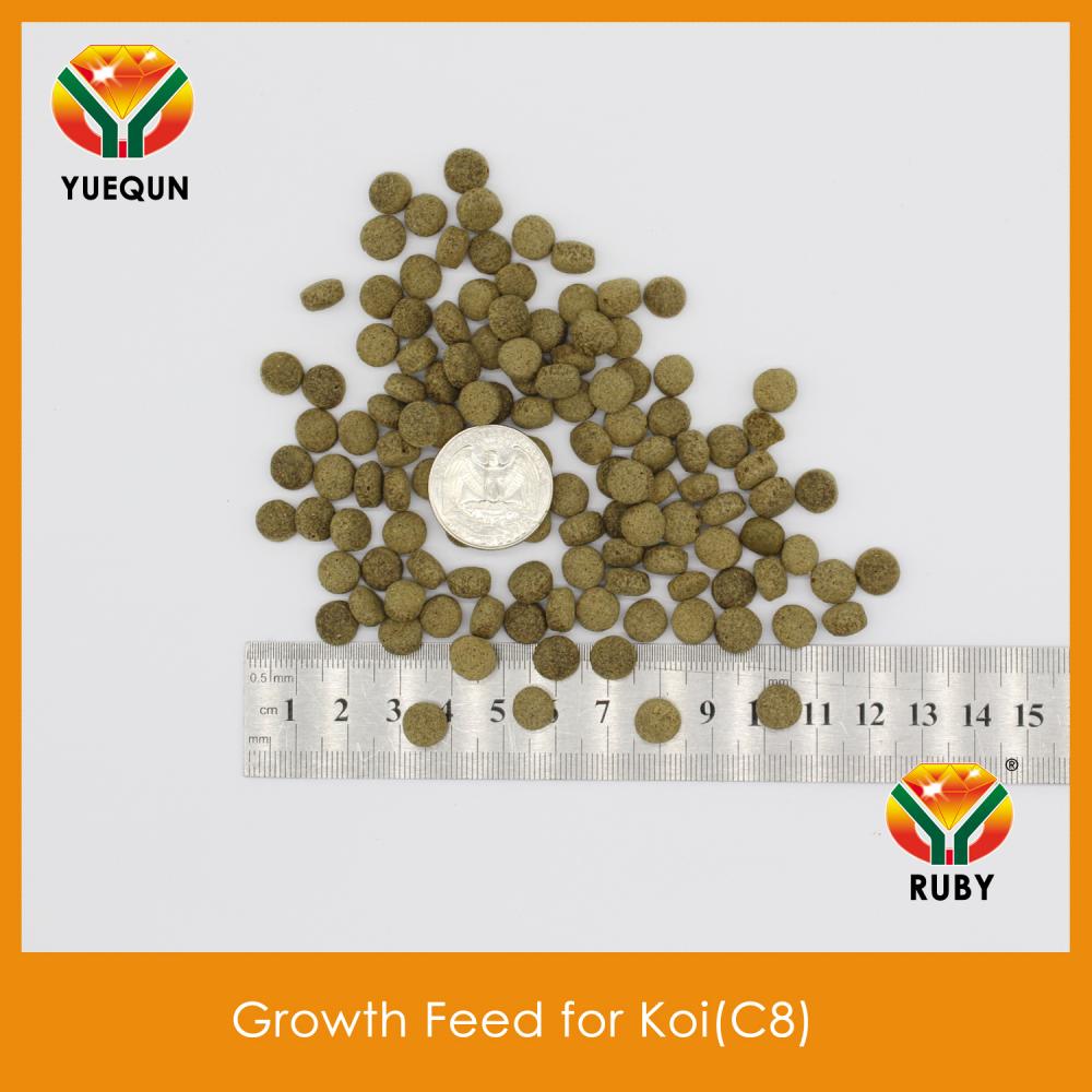 Growth Feed 8 5
