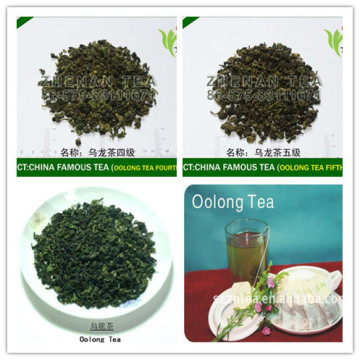famous fujian tie kuan yin oolong tea