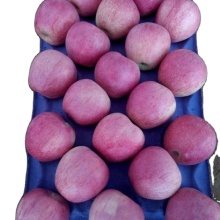 Chunhua qinguan apple natural apple Fresh paper bagged qinguan apple