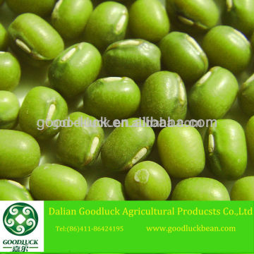 New Crop Chinese Moong Dal /splite mung beans/Masoor Dal                        
                                                Quality Choice