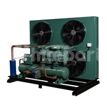 2FES-3Y Bitzer Condensing Unit for R404A Refrigeration System: 220V/60Hz Specifications and Details