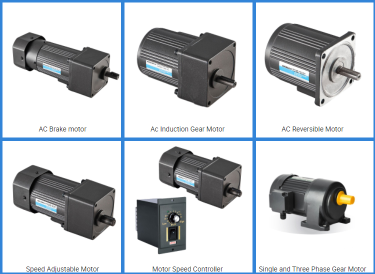 Biotept Gear Motor