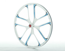 OEM Customized Magnesium Alloy Bicycle Wheel for Casting Applications