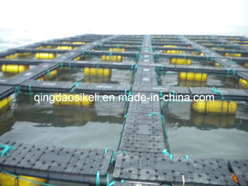 Tilapia Fishery Machinery