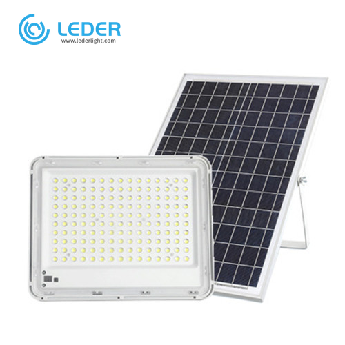 LEDER 100W ضوء الفيضانات الزخرفية في الهواء الطلق