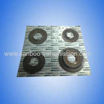 Tf-80sc Piston Kit