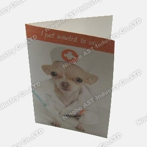 Musical Invitational Cards Recordable Greeting Cards