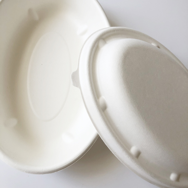 bagasse bowl with lid