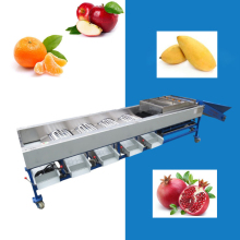 Convenient Onion and Apple Sorting Machine - Sorting Machinery