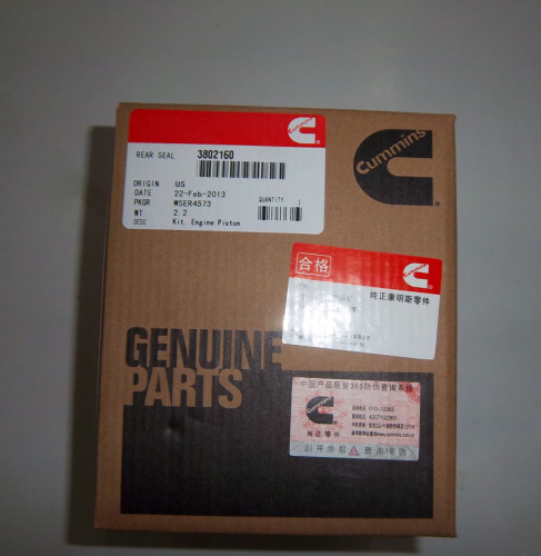 Dongfeng Cummins Engine Piston Assembly 3802160