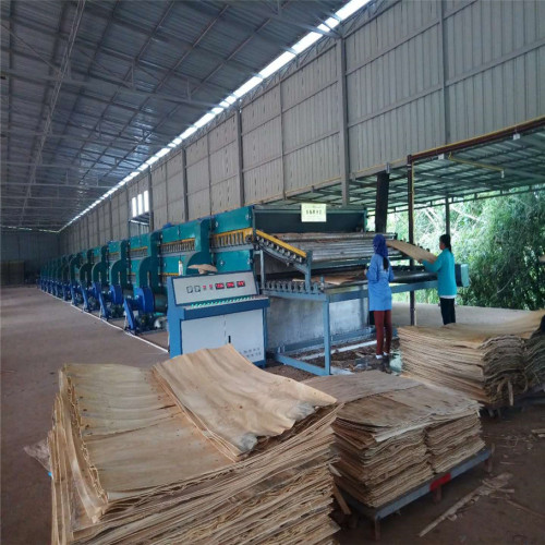 Biomass Core Veneer Drying Lines