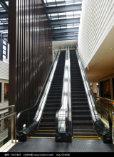 Remarkable Performance Automatic Escalator