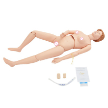 Top Quality Nursing Education Tools: Multifunctional Gynecological Manikins and Female Dummies
