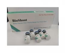 Rabies Vaccine For Humans Effective