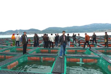 Fish Hatchery Equipment