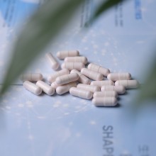 Effective Probiotics Supplement 20B CFU/G Capsule AKK